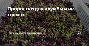 Как выбрать пресс-подборщик для хозяйства